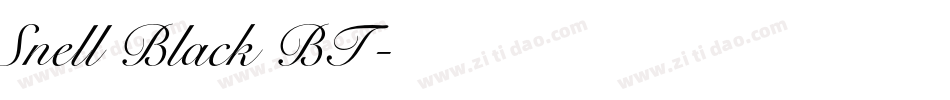 Snell Black BT字体转换